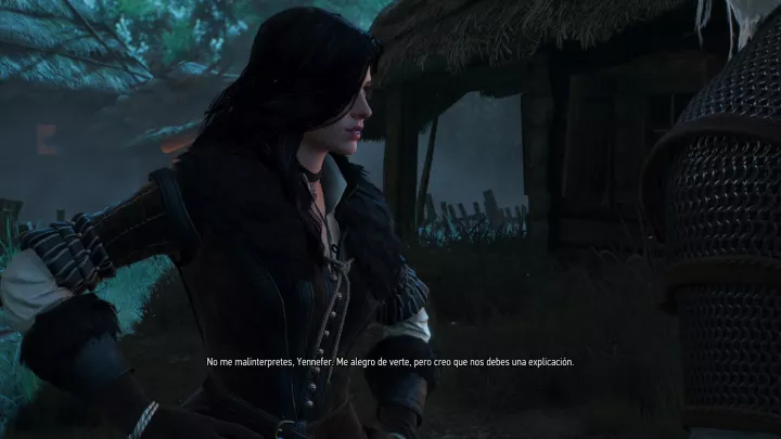 The Witcher 3 Wild Hunt - PC