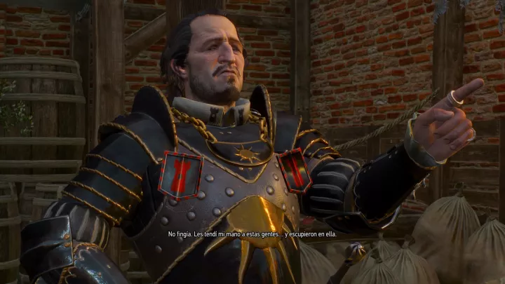 The Witcher 3 Wild Hunt