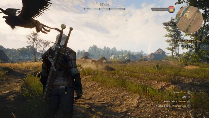 The Witcher 3 Wild Hunt - PC