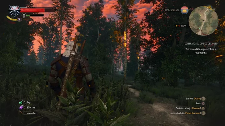 Witcher 3