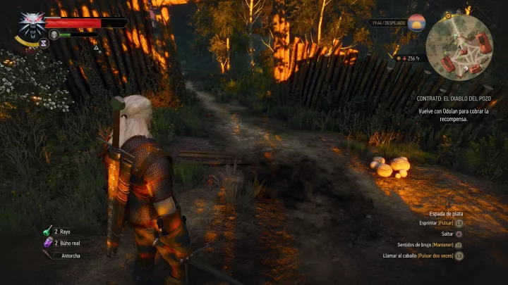 The Witcher 3 Wild Hunt - PC