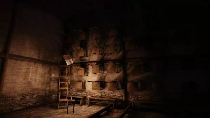 MIND Path to Thalamus