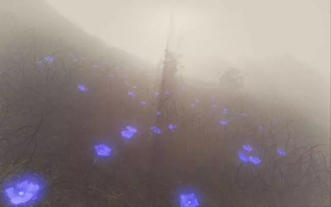 MIND Path to Thalamus - PC