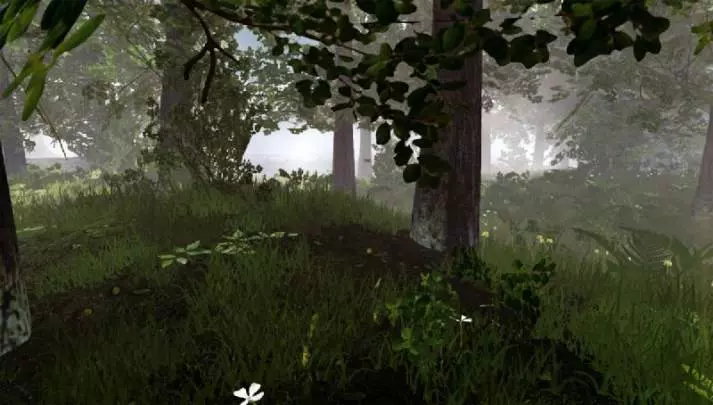 MIND Path to Thalamus