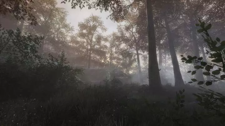 The Vanishing of Ethan Carter