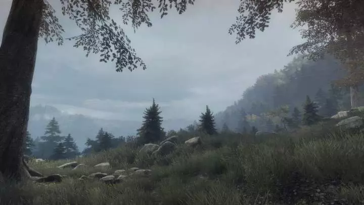 The Vanishing of Ethan Carter