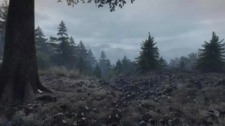The Vanishing of Ethan Carter