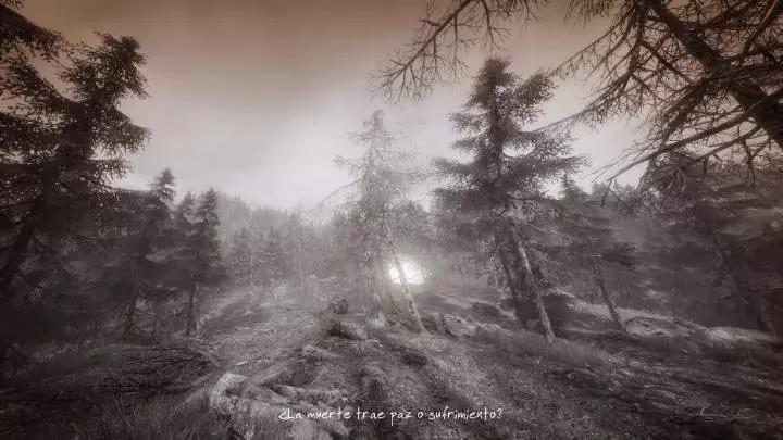 The Vanishing of Ethan Carter