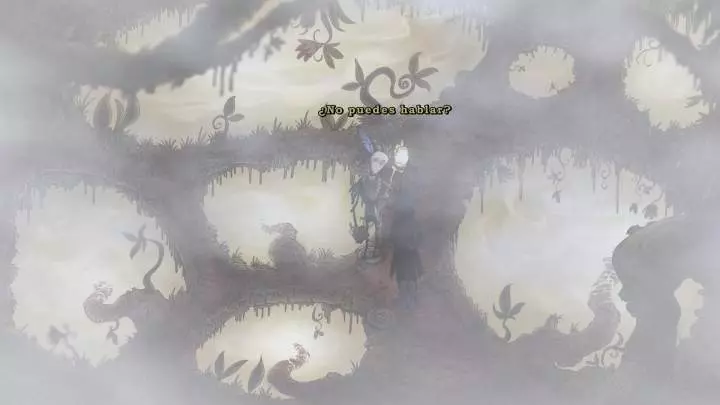 The Night of the Rabbit