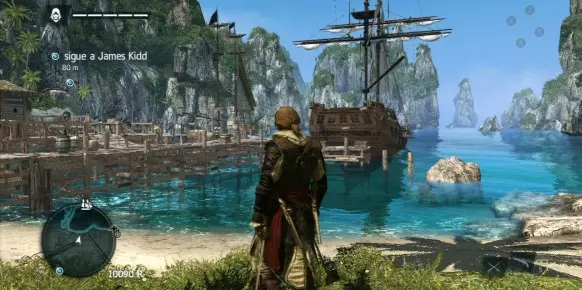 Assassin's Creed 4