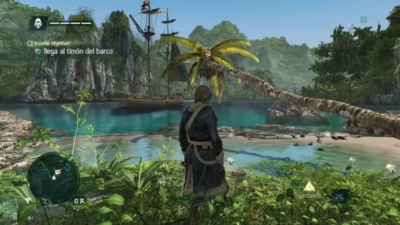 Assassin's Creed 4