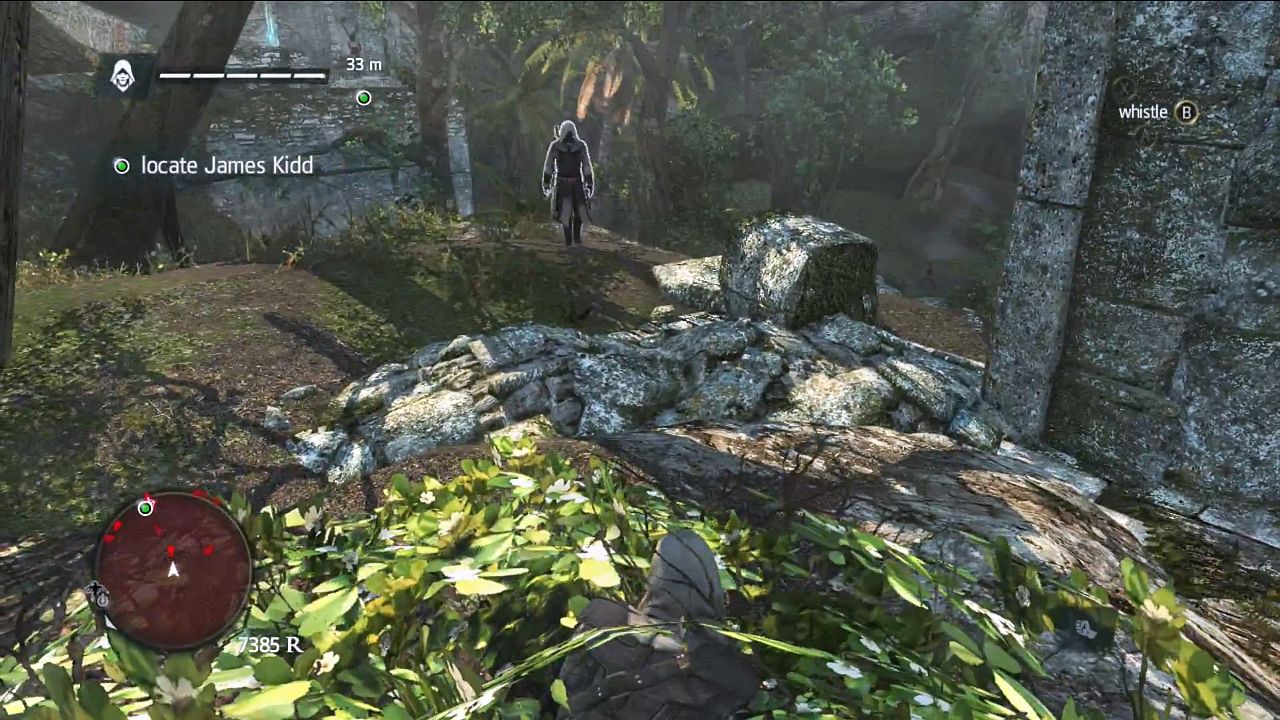 Imagen de Assassin's Creed 4