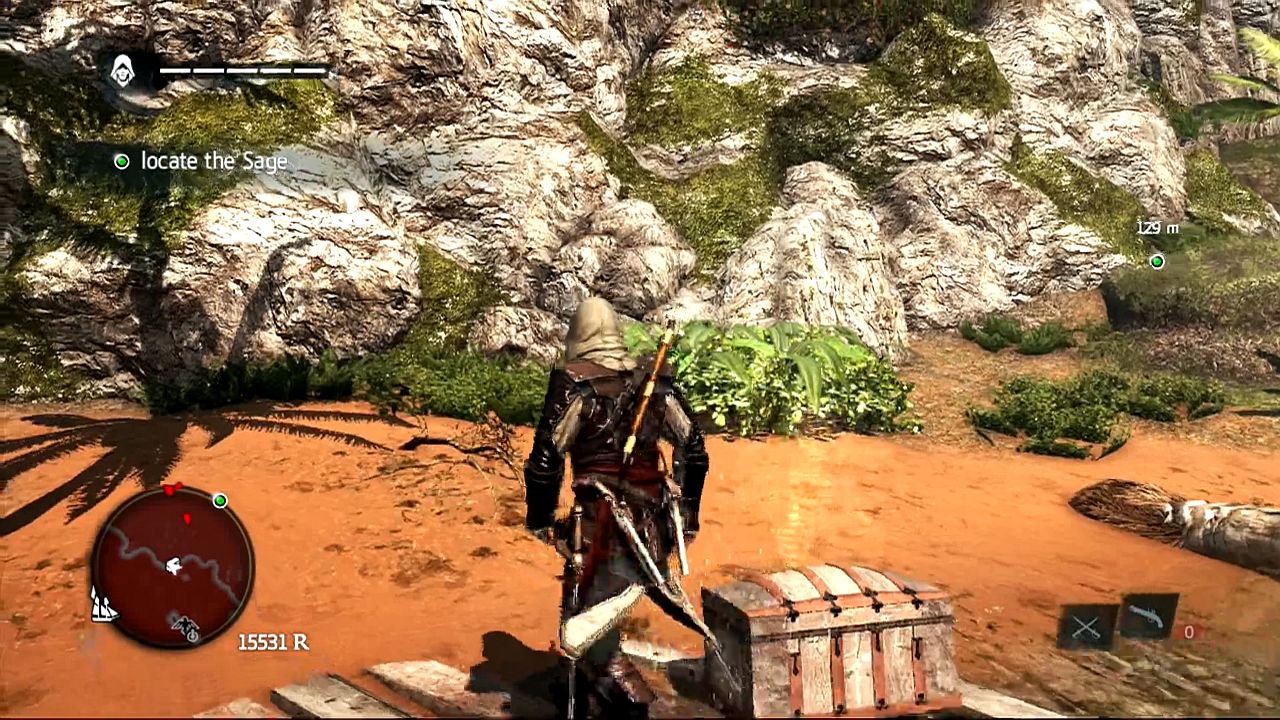 Imagen de Assassin's Creed 4