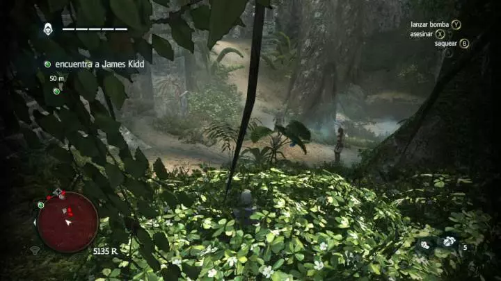 Assassin's Creed 4 - PS3