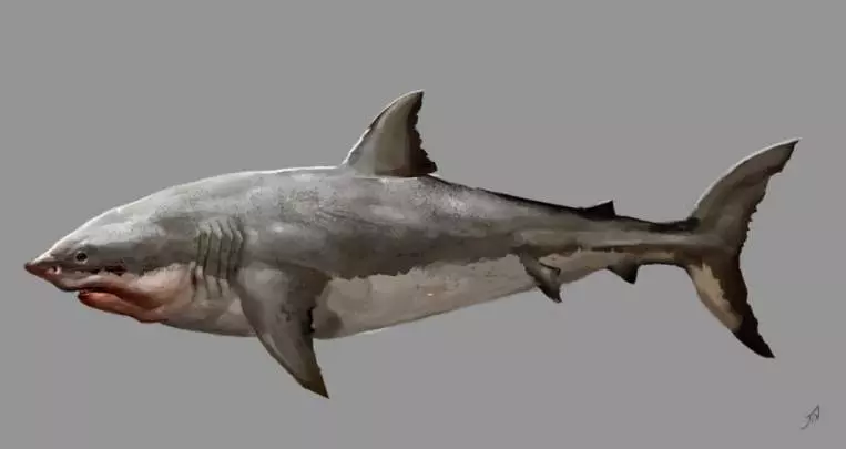 Assassin's Creed 4 - PS3