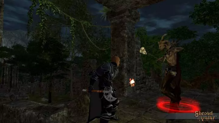 Shroud of the Avatar