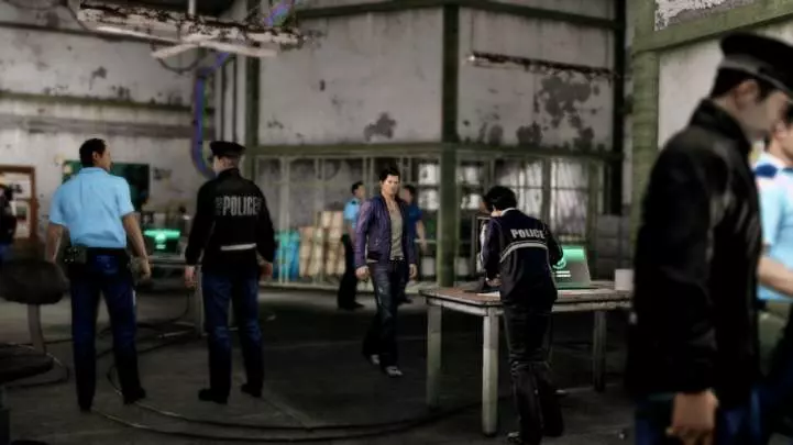 Sleeping Dogs Year of the Snake