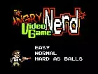 Angry Video Game Nerd 