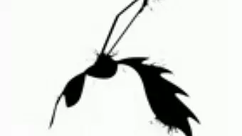 Desvelado Men's Room Mayhem para PSVita