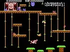 Donkey Kong Jr.