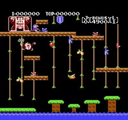 Donkey Kong Jr.