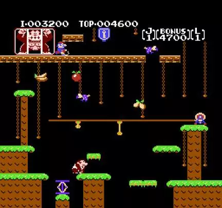 Donkey Kong Jr. - NES