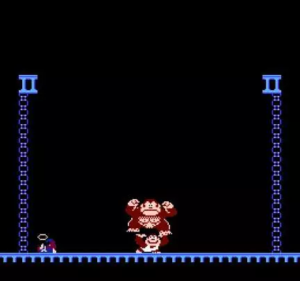 Donkey Kong Jr.