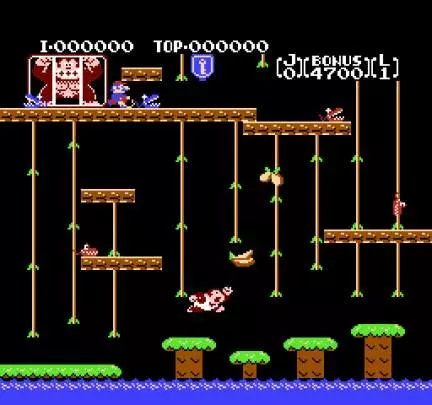 Donkey Kong Jr.