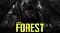 The Forest