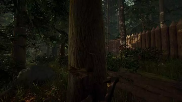 The Forest - PC