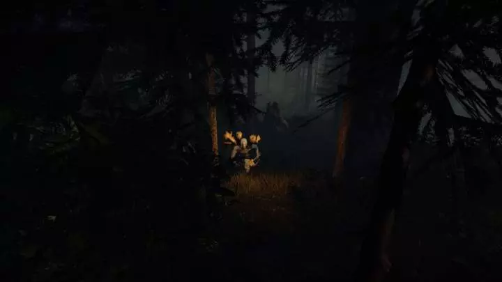 The Forest - PC