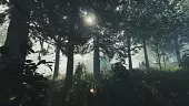 The Forest: Tráiler de Anuncio