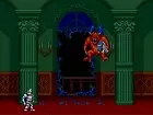 Super Ghouls 'N Ghosts - Pantalla