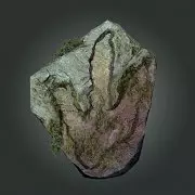 Carátula de The Stomping Land - PC