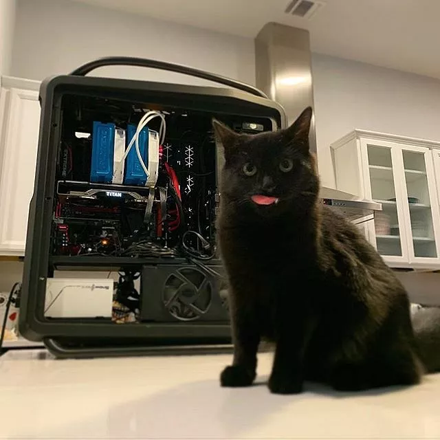 Imagen de NVIDIA Imagen de NVIDIA