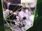 NVIDIA: GameWorks VR Potencial la Realidad Virtual