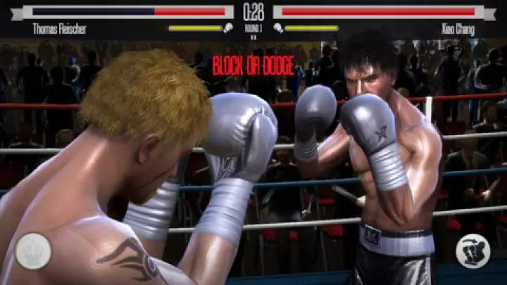 Real Boxing